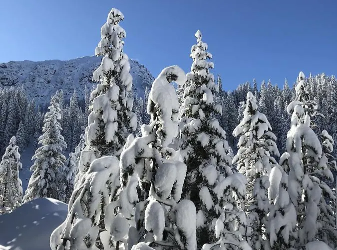 Apartment D'uval Arosa